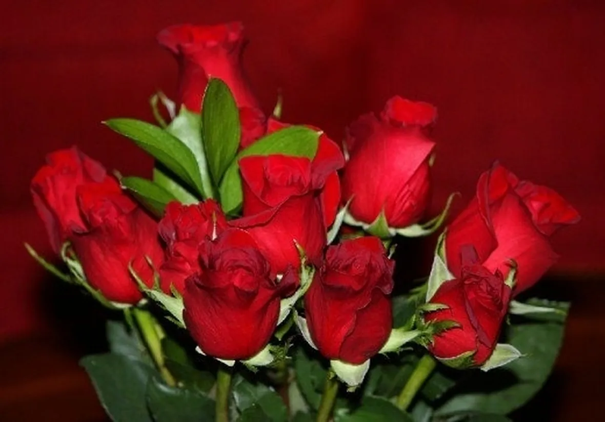 Risposta: lo sciroppo di rose