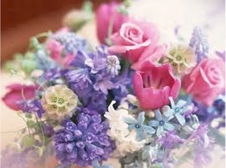 rose colorate
