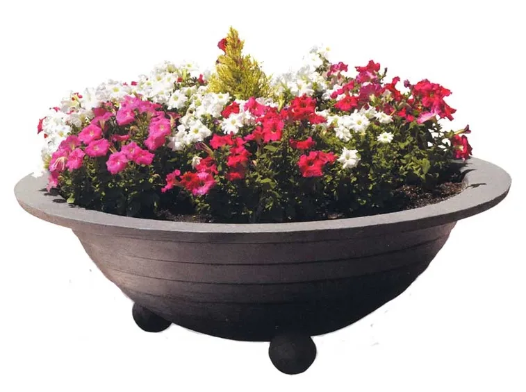 sia fiori