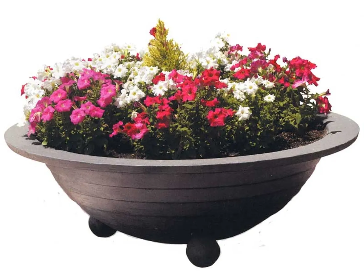 sia fiori