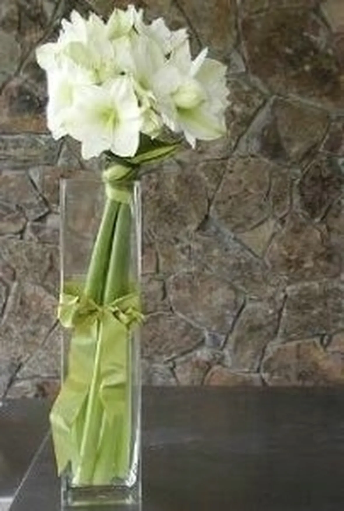 significato fiori amarillis bianche