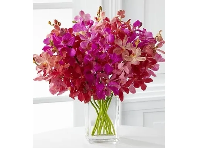 significato fiori endrobium bianche