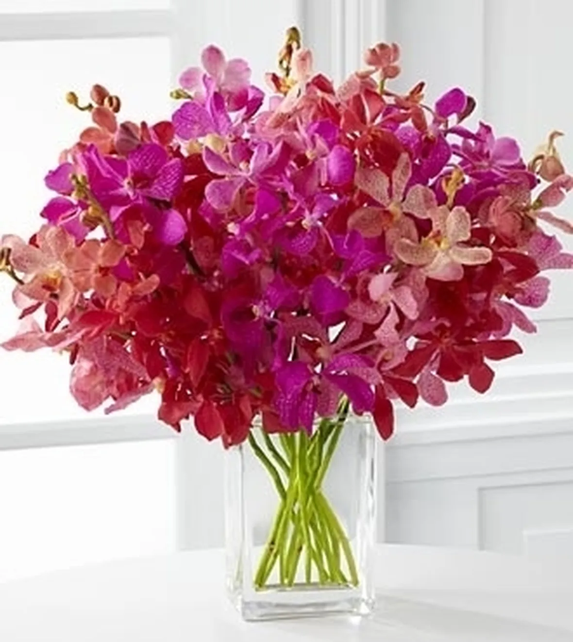 significato fiori endrobium bianche