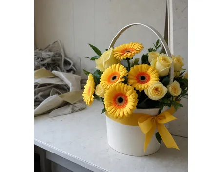 significato fiori gerbere bianche-1