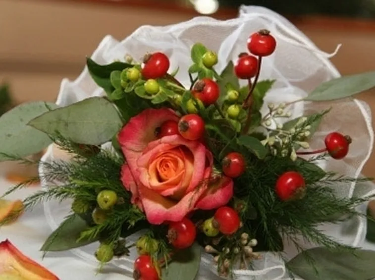 significato fiori gerbere rosse