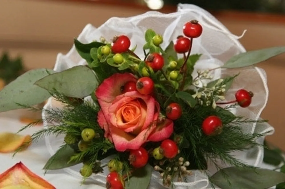significato fiori gerbere rosse