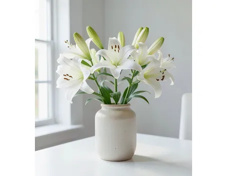 significato fiori lilium bianche-1