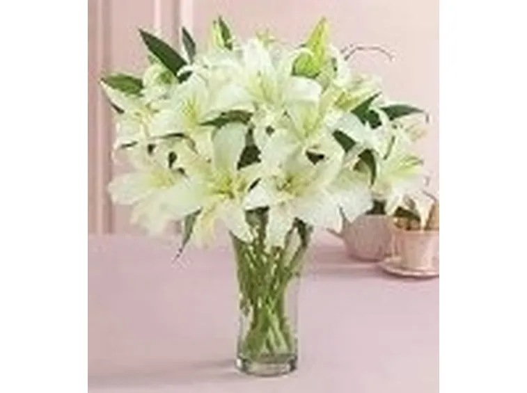 significato fiori lilium bianche