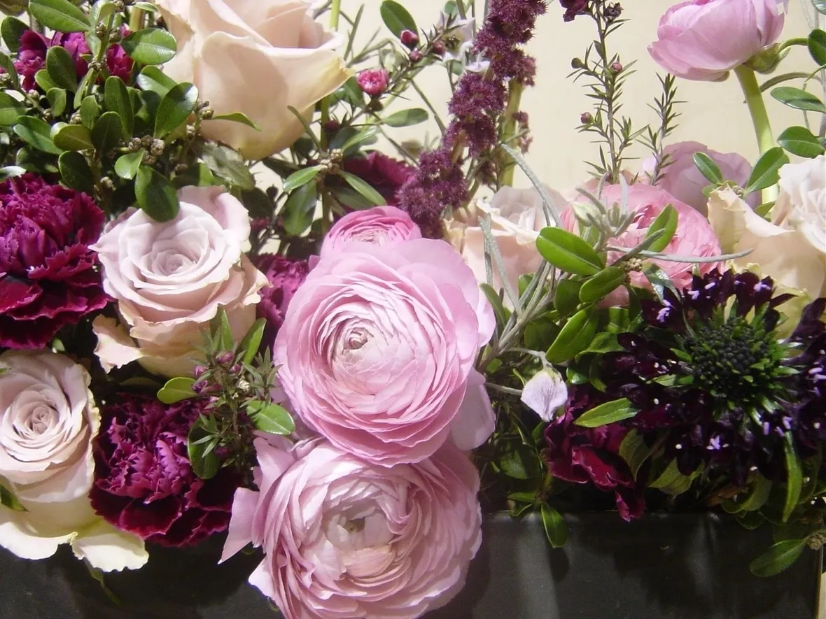 significato fiori rose rosse-1