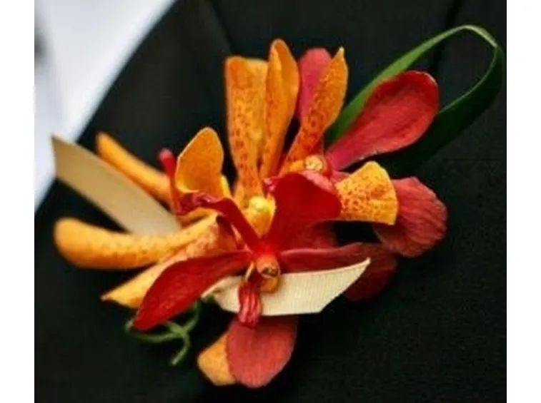 significato orchidee arancio
