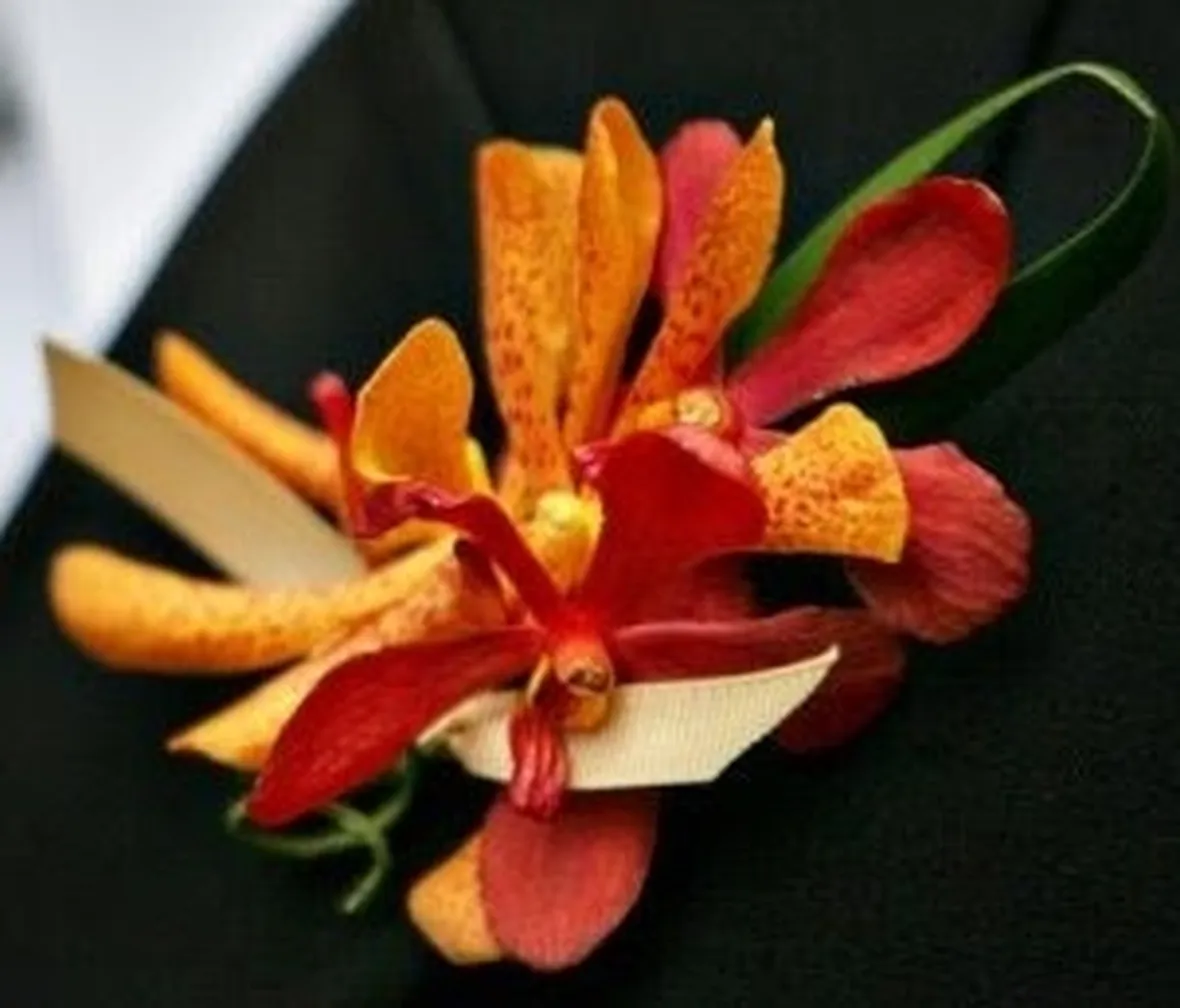 significato orchidee arancio