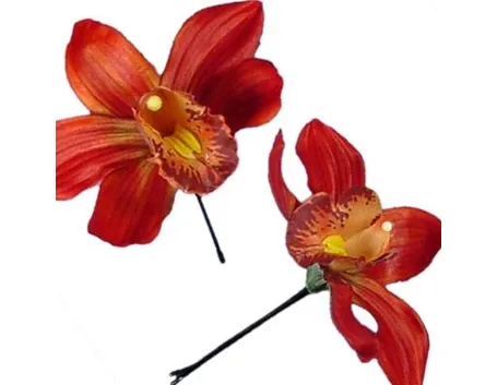 significato orchidee rosse-1