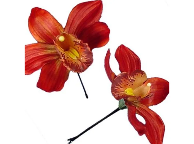 significato orchidee rosse-1