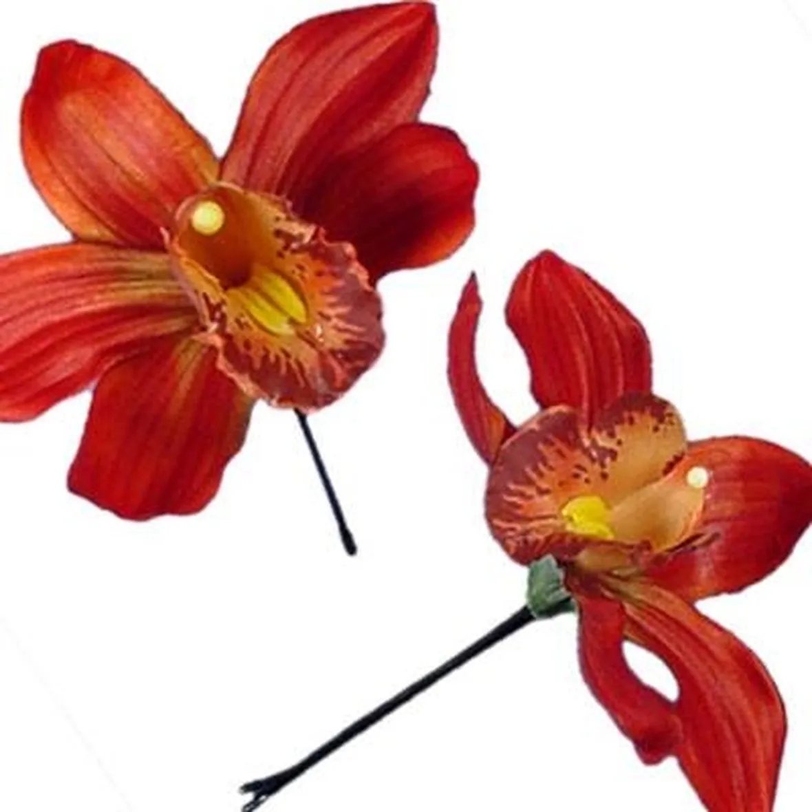 significato orchidee rosse-1