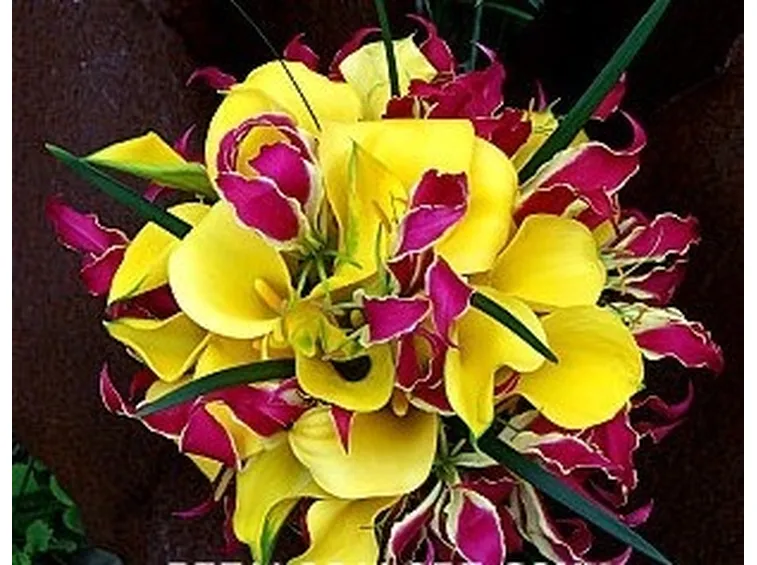 significato orchidee rosse