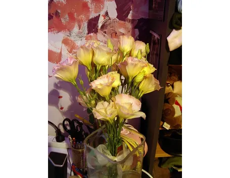 spedire fiori a Brindisi