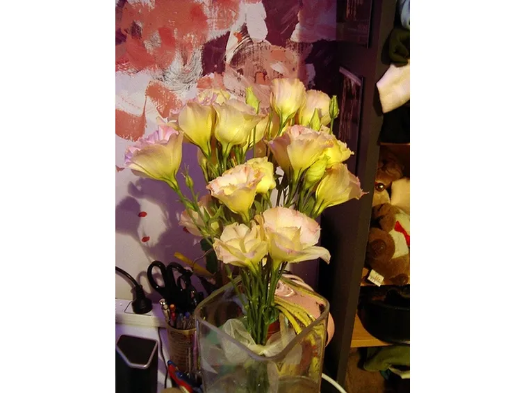 spedire fiori a Brindisi