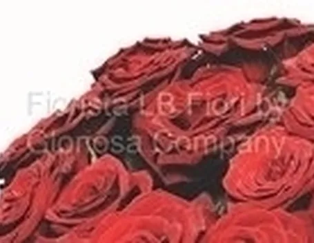 spedire fiori a Torre del Greco