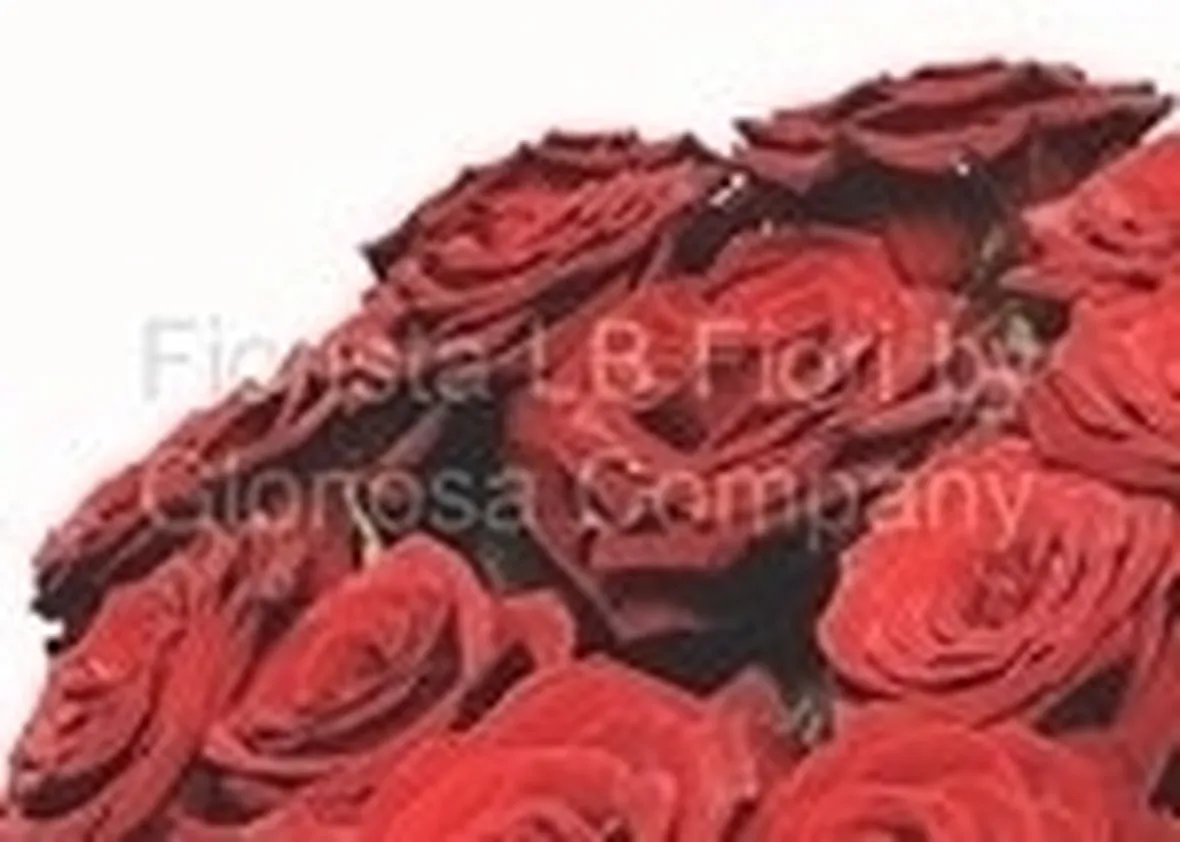 spedire fiori a Torre del Greco