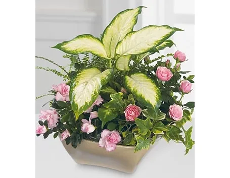 spedire fiori Firenze