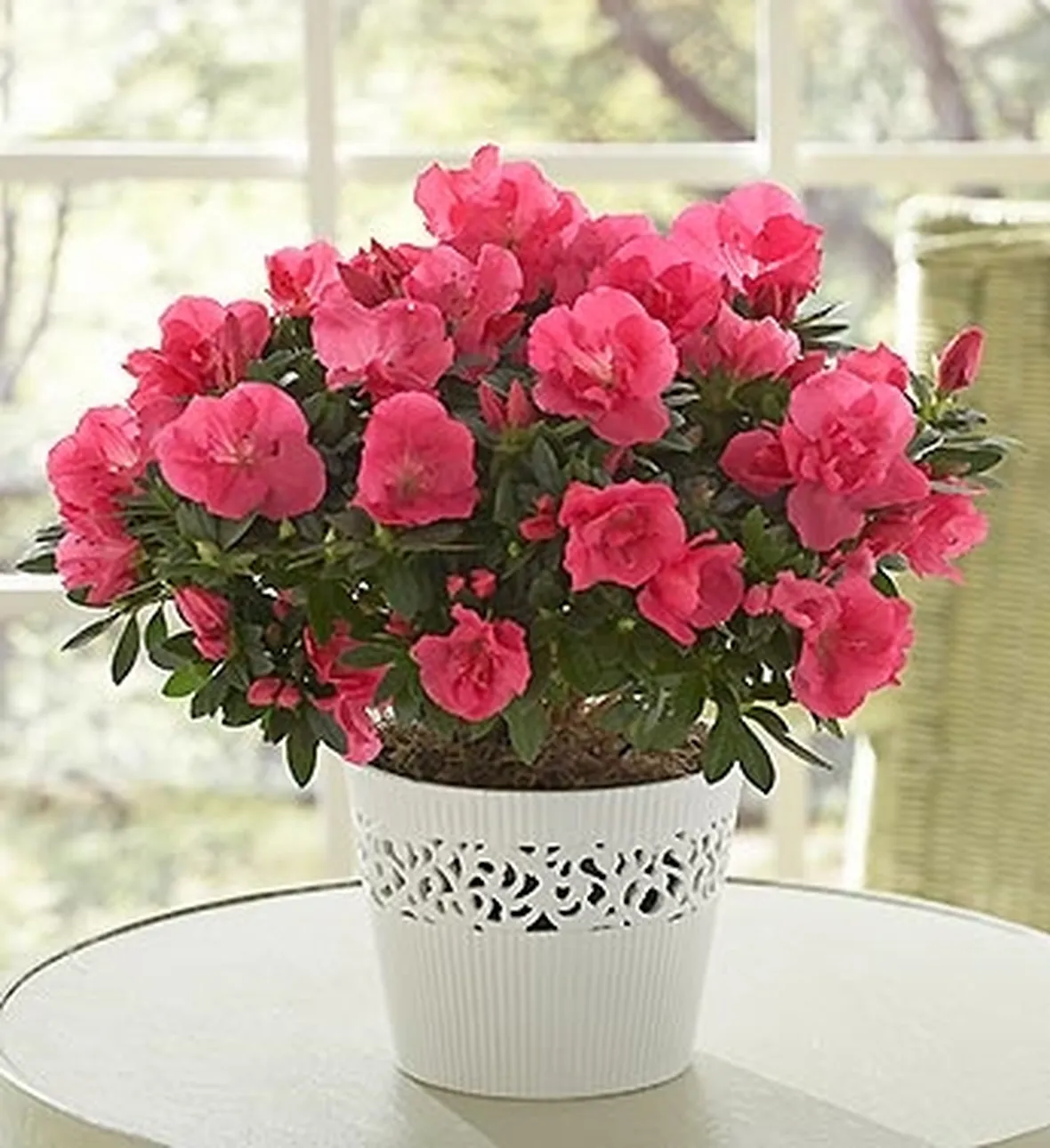 spedire fiori Milano