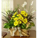spedire fiori Roma