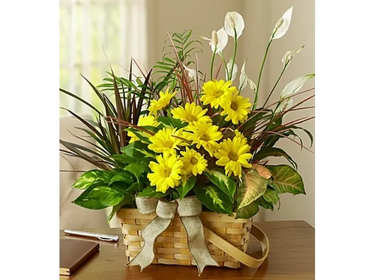spedire fiori Roma