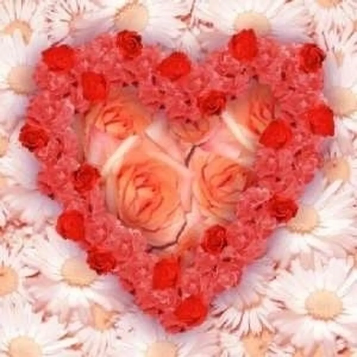 spedizione dei fiori per san valentino