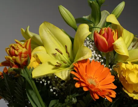 spedizione di fiori a Brindisi