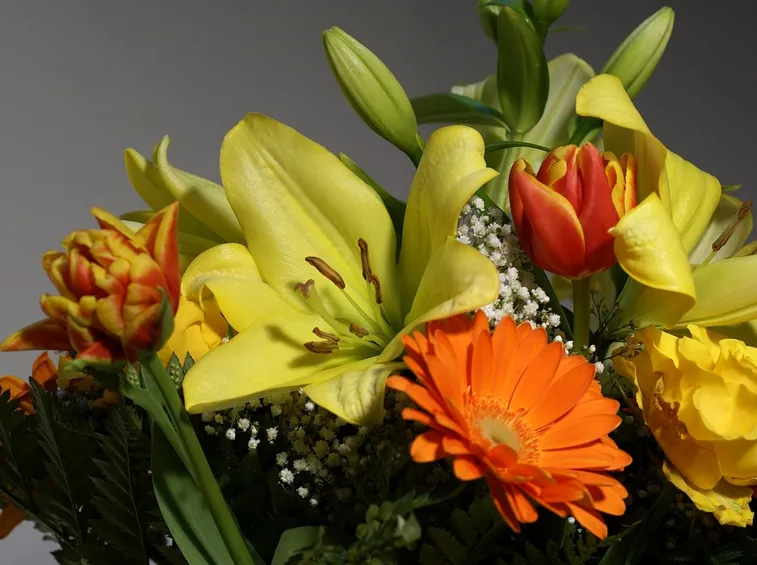 spedizione di fiori a Brindisi