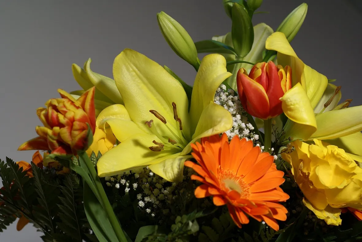 spedizione di fiori a Brindisi