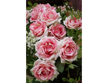 spedizione fiori per festa della mamma-5