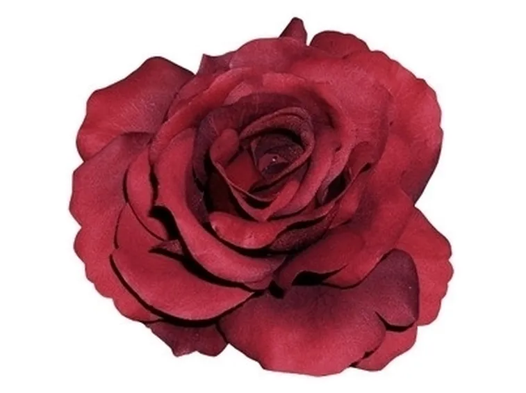 spedizione fiori per la mamma-5