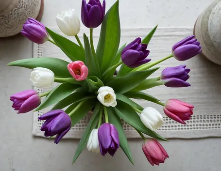 tulipani colorate