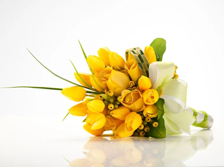 tulipani
