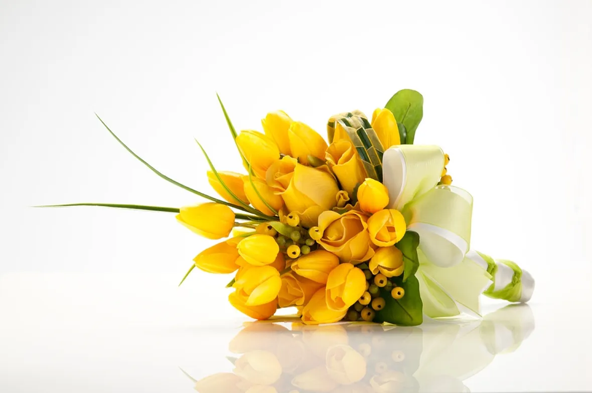 tulipani