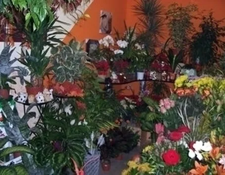 Decorazioni per matrimonio 