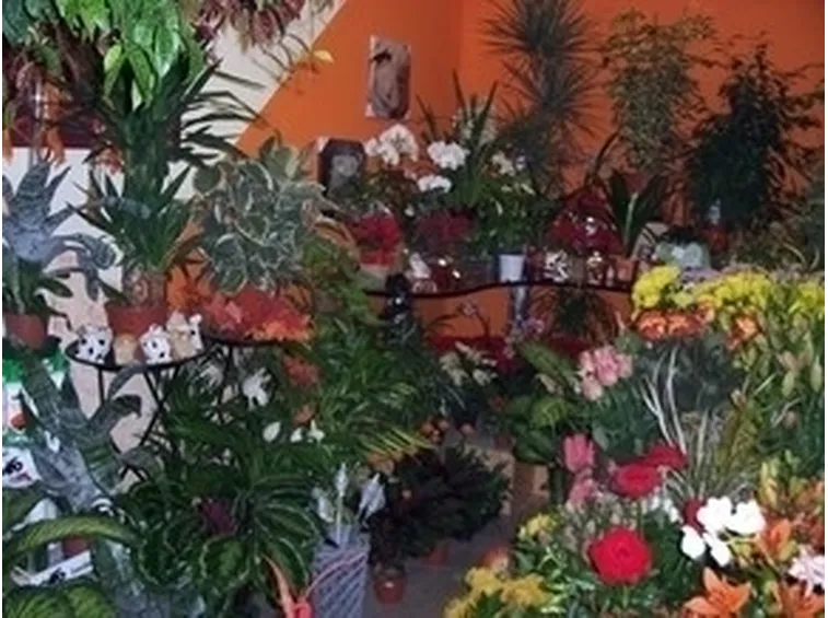Decorazioni per matrimonio 