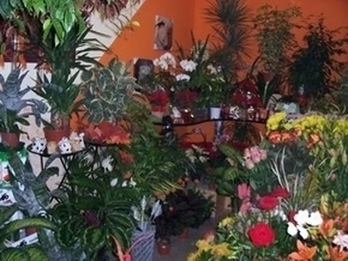 Decorazioni per matrimonio 