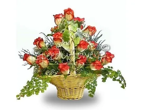 fiori laurea-5