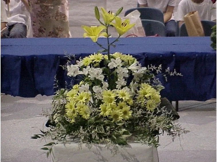fiori per il diploma-1