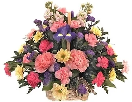 fiori san valentino-2