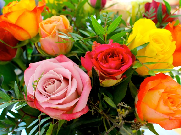 fiori per tutte le occasioni