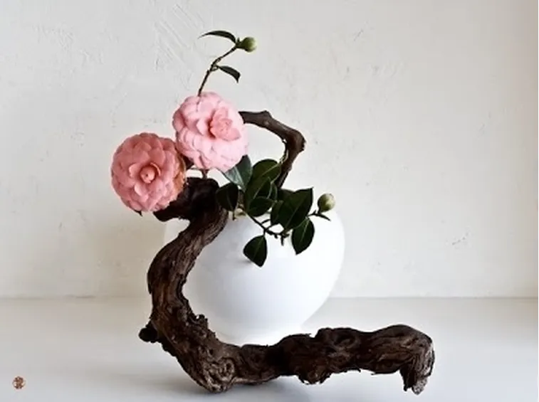 fiori per tutte le occasioni-8