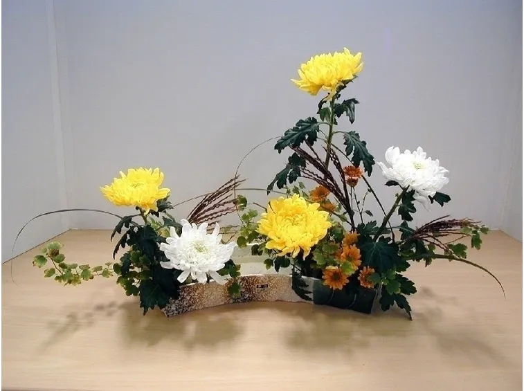 fiori per tutte le occasioni-5