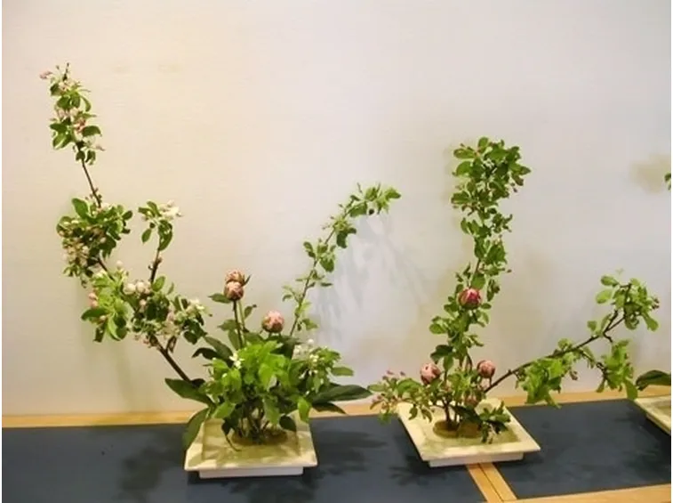 fiori per tutte le occasioni-9