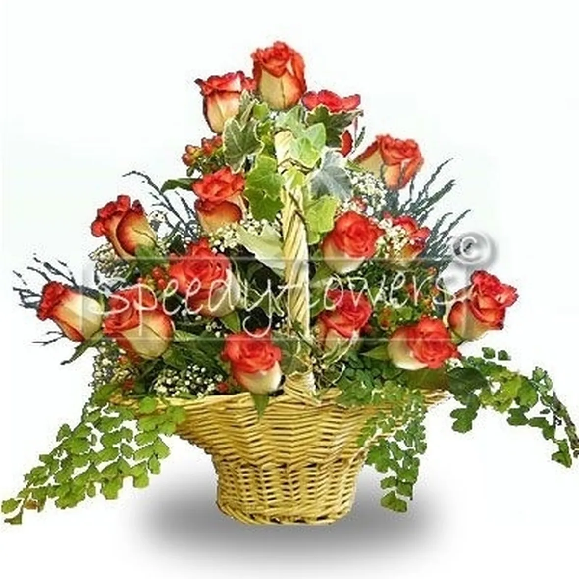 fiori online