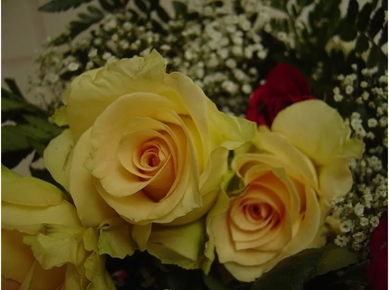 bouquet di fiori-3
