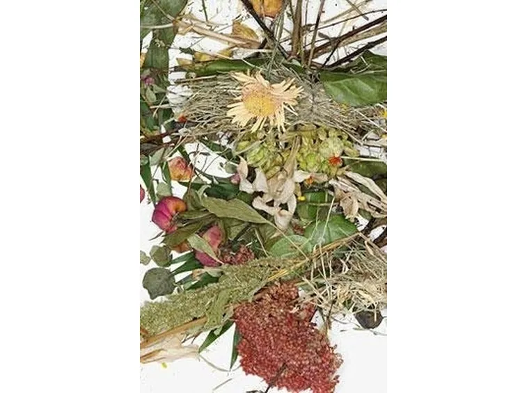 Come si realizza una composizione di fiori secchi