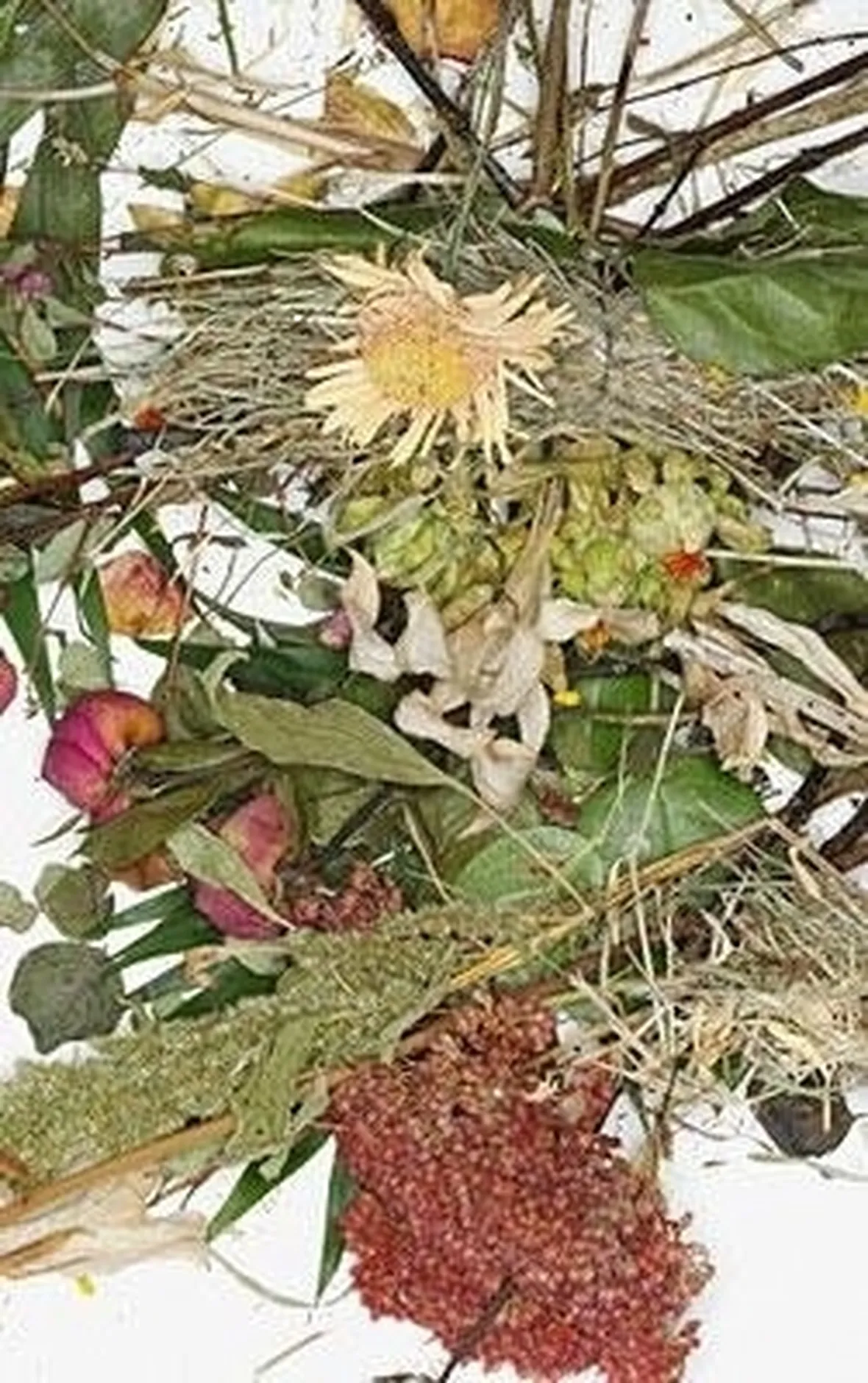 Come si realizza una composizione di fiori secchi